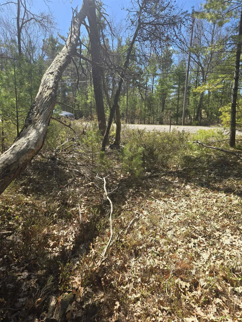 4699 Johnson Road Au Sable Charter Township, MI 48750