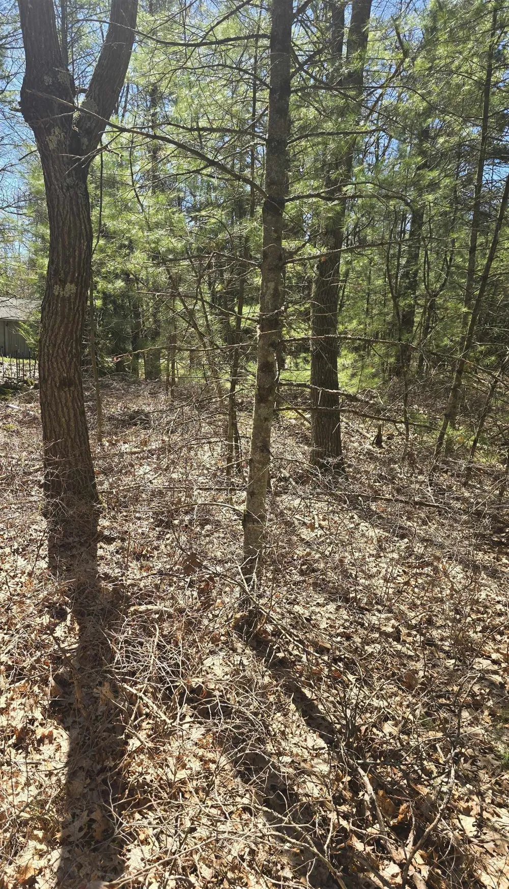 4699 Johnson Road Au Sable Charter Township, MI 48750