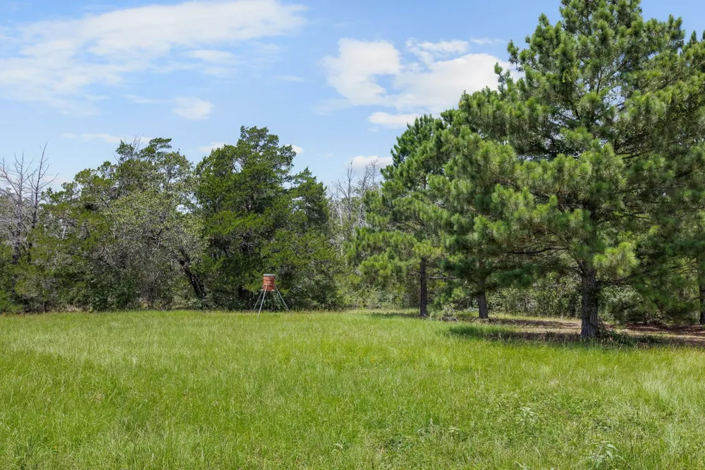3941 County Road 219 Anderson, TX 77830