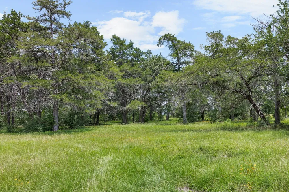3941 County Road 219 Anderson, TX 77830