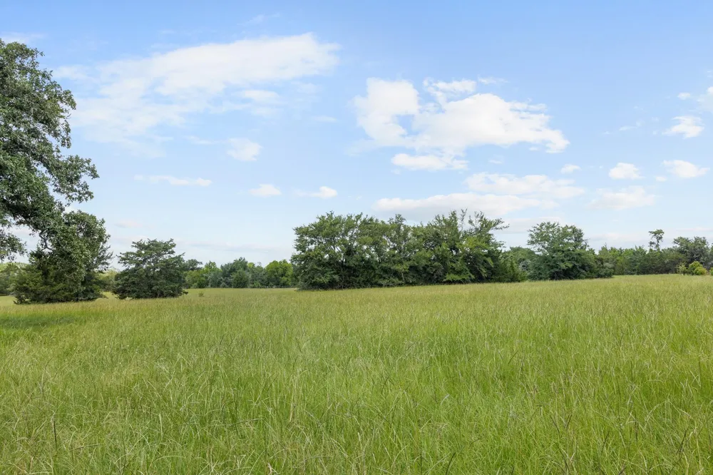 3941 County Road 219 Anderson, TX 77830