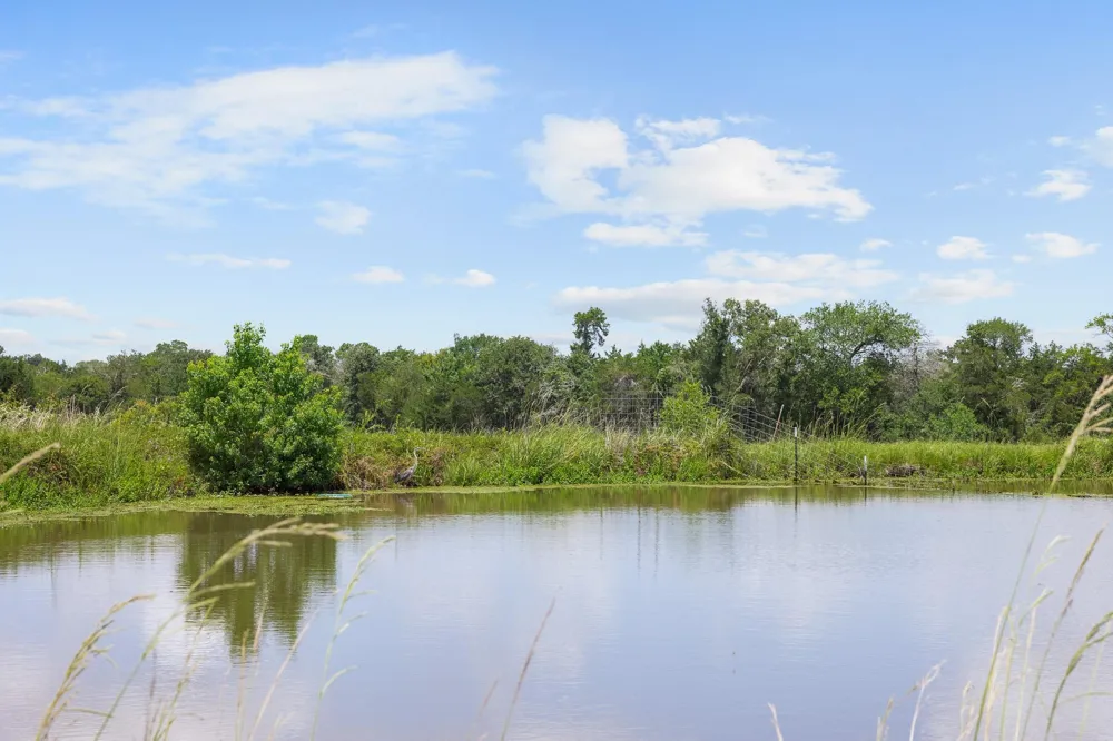 3941 County Road 219 Anderson, TX 77830