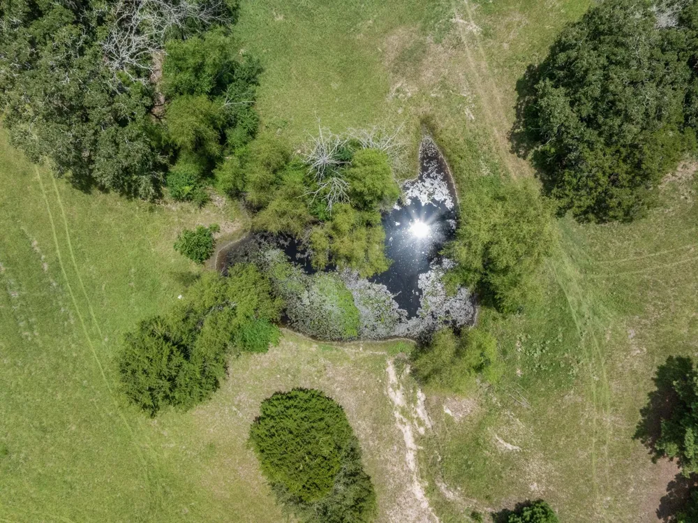 3941 County Road 219 Anderson, TX 77830
