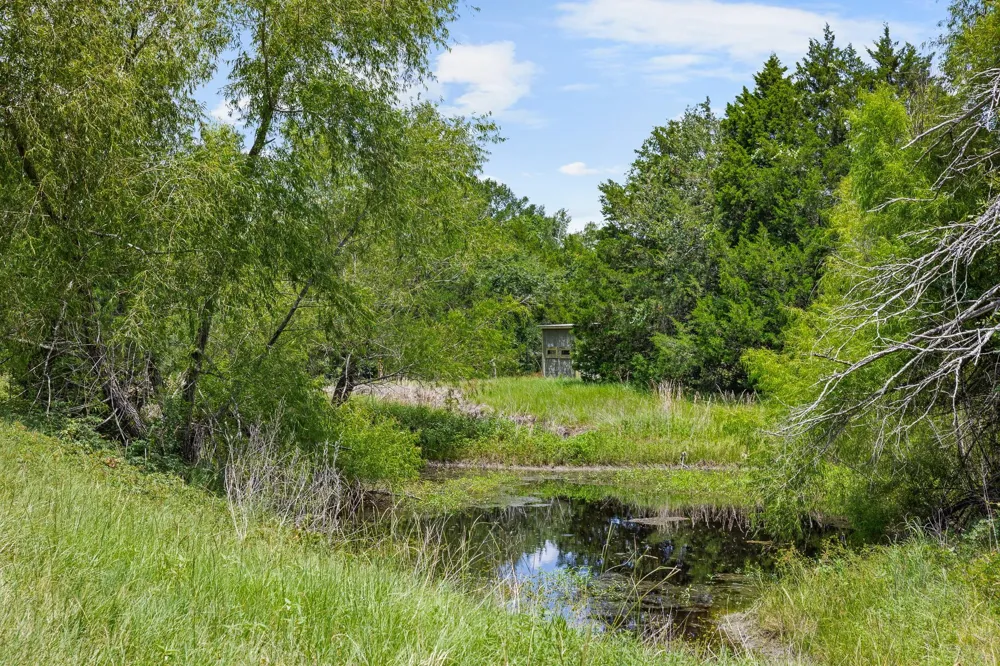 3941 County Road 219 Anderson, TX 77830