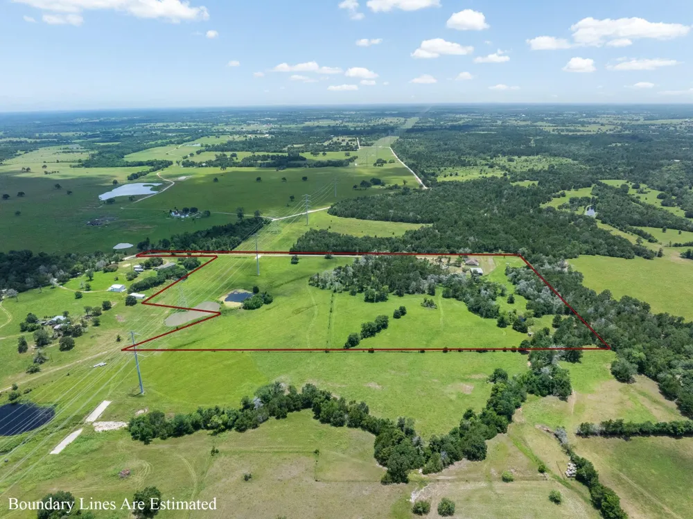 3941 County Road 219 Anderson, TX 77830