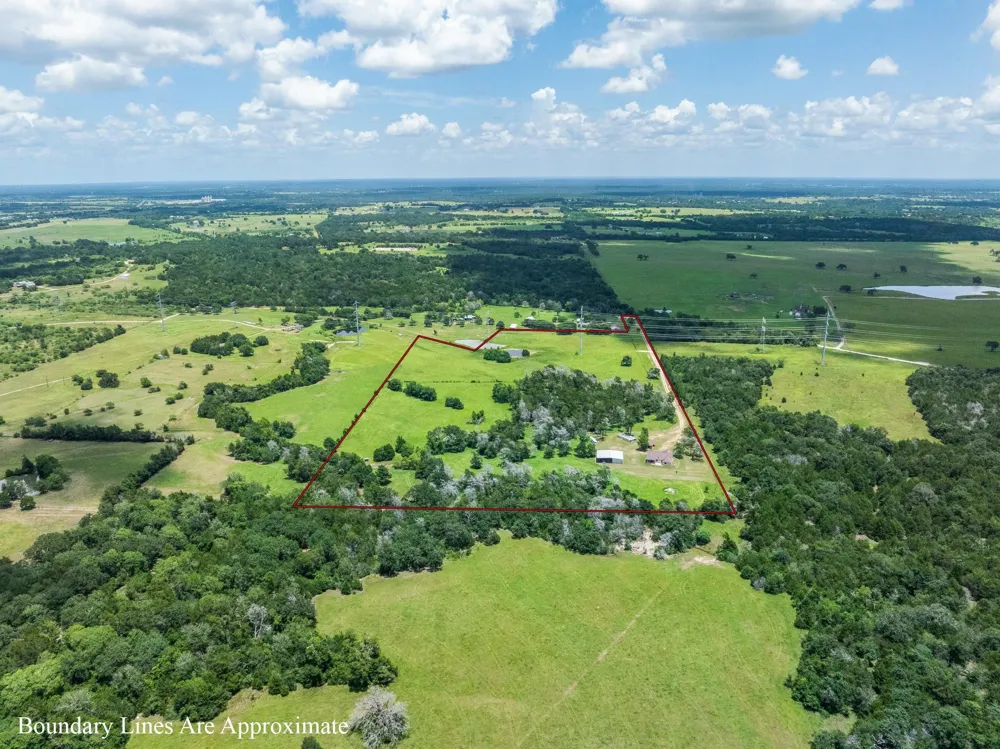 3941 County Road 219 Anderson, TX 77830