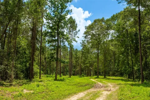 County Road 547