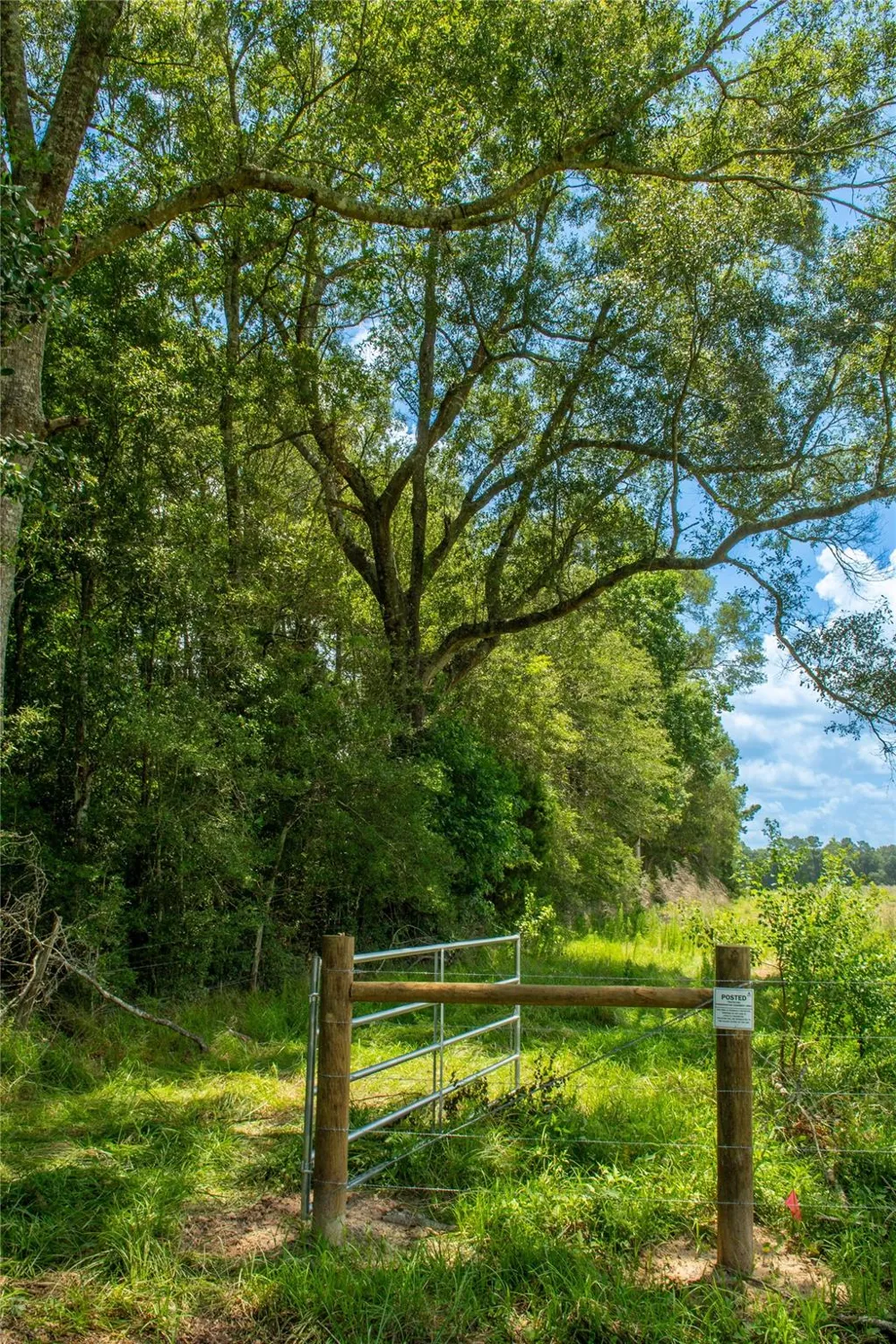 County Road 547 Kirbyville, TX 75956