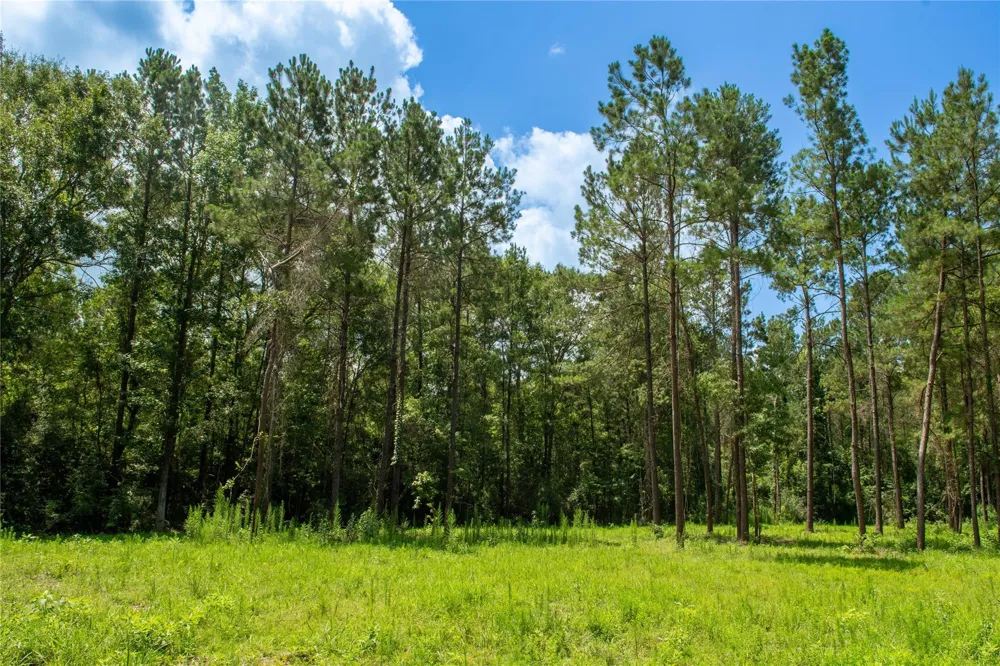 County Road 547 Kirbyville, TX 75956