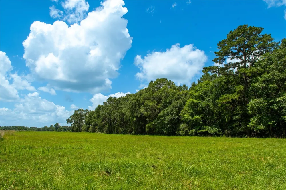 County Road 547 Kirbyville, TX 75956
