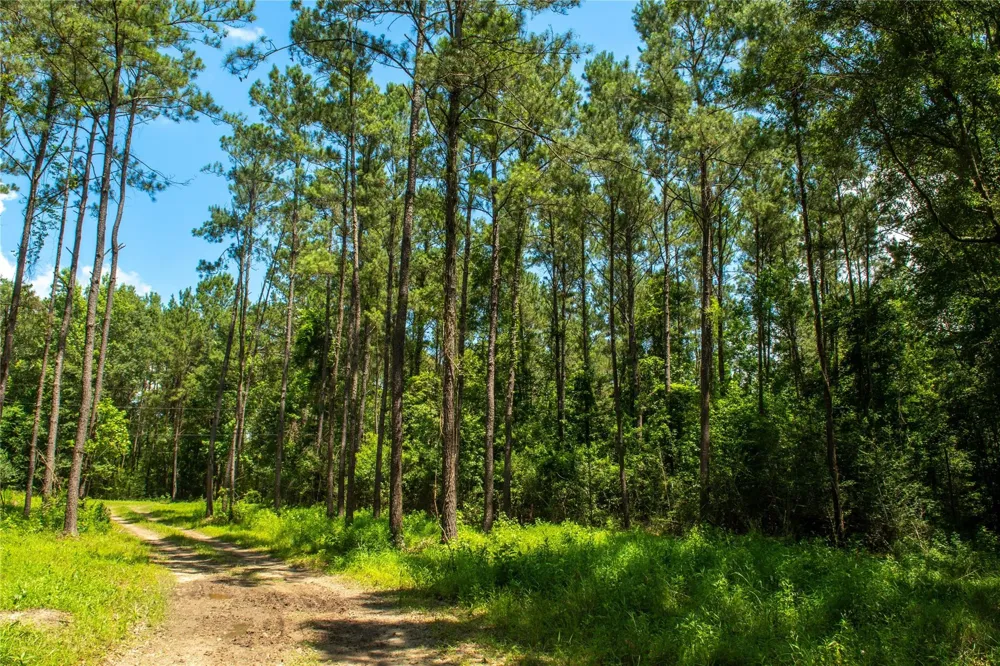 County Road 547 Kirbyville, TX 75956