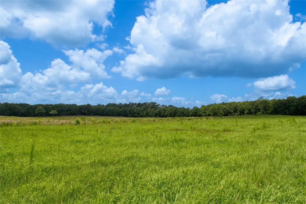 County Road 547 Kirbyville, TX 75956