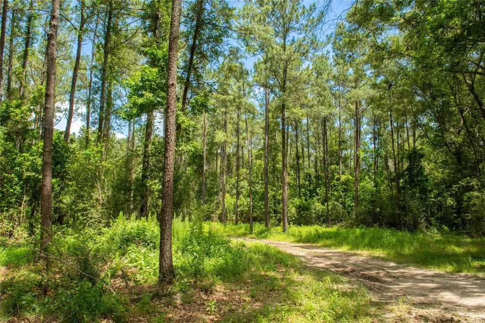 County Road 547 Kirbyville, TX 75956
