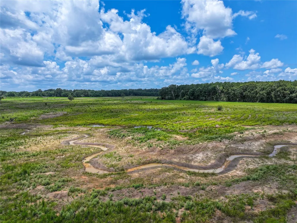 County Road 547 Kirbyville, TX 75956
