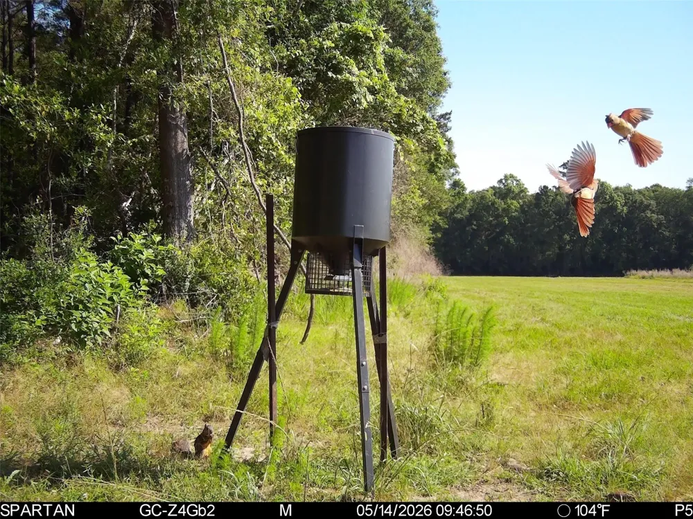 County Road 547 Kirbyville, TX 75956
