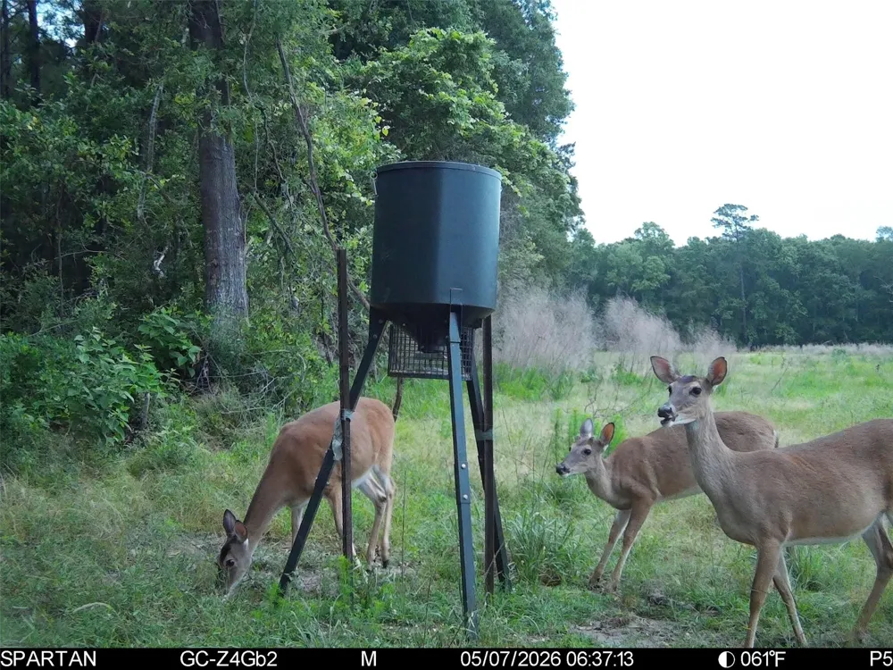 County Road 547 Kirbyville, TX 75956