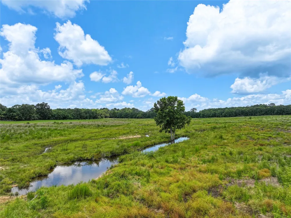 County Road 547 Kirbyville, TX 75956