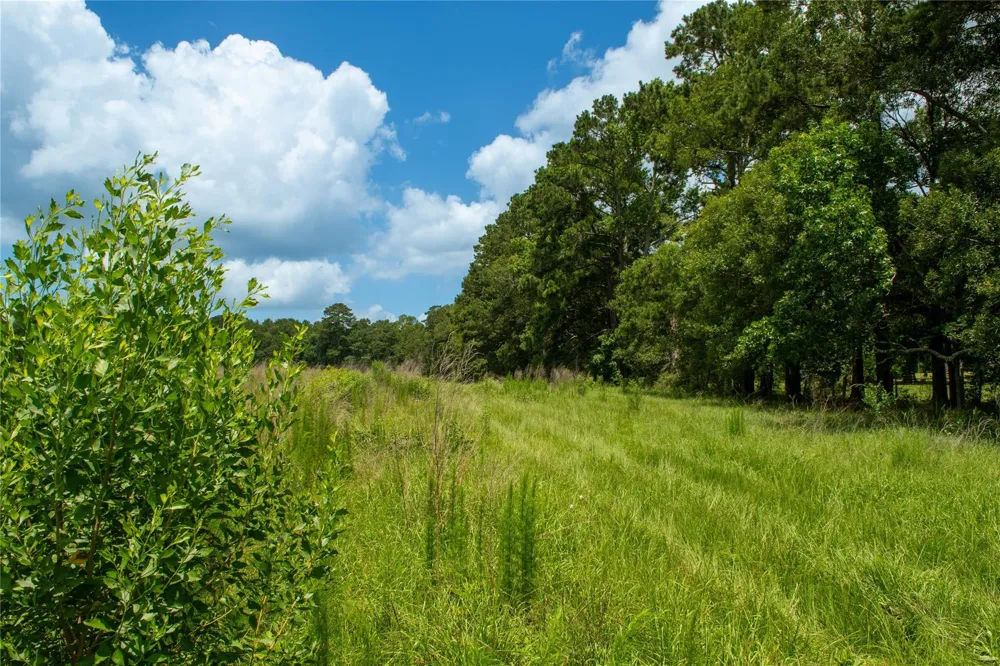 County Road 547 Kirbyville, TX 75956