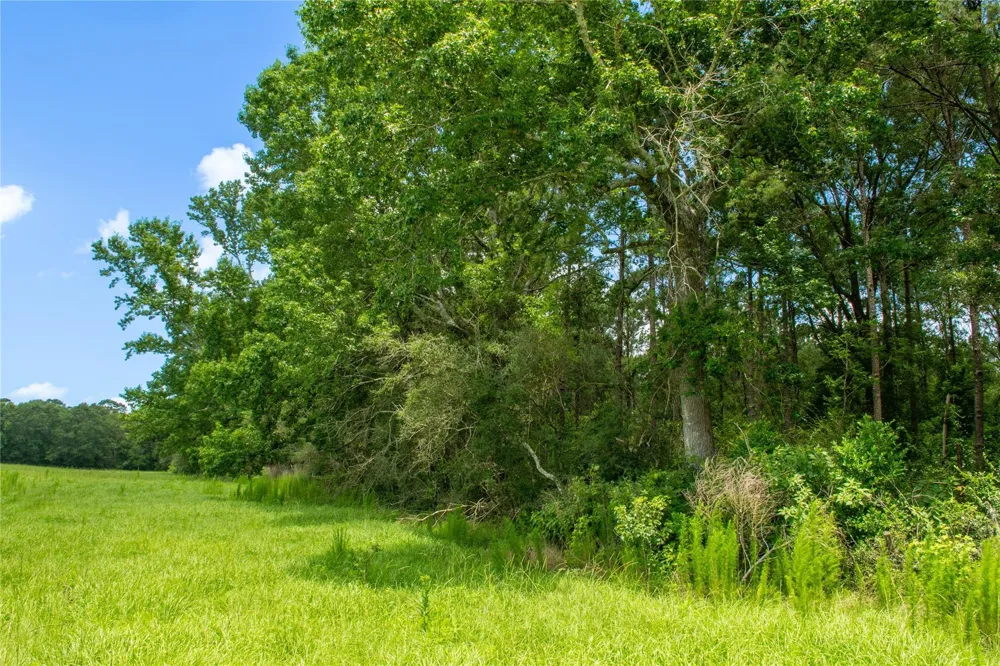 County Road 547 Kirbyville, TX 75956