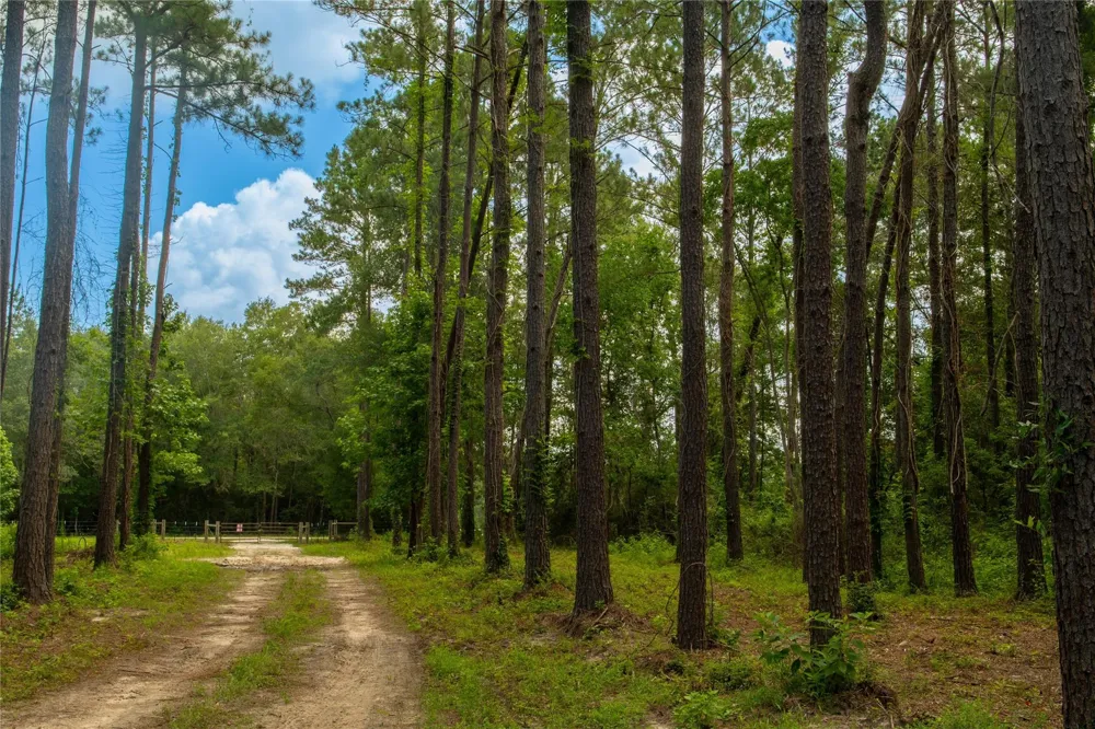 County Road 547 Kirbyville, TX 75956
