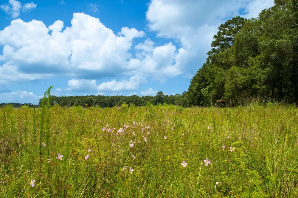 County Road 547 Kirbyville, TX 75956