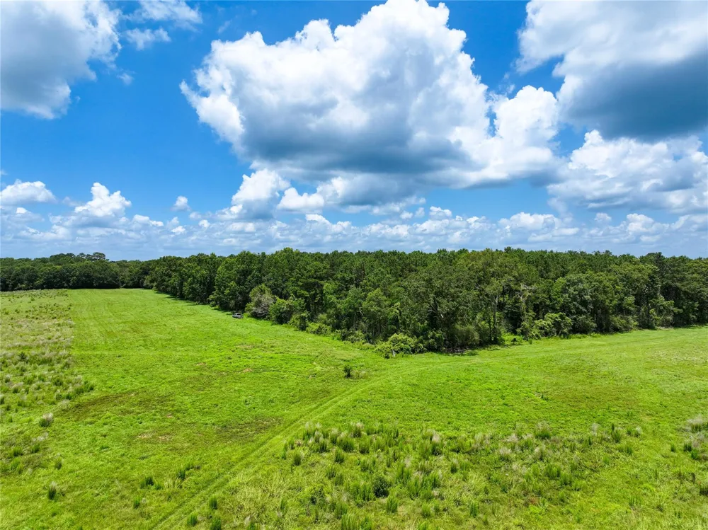 County Road 547 Kirbyville, TX 75956