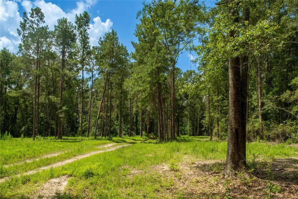 County Road 547 Kirbyville, TX 75956