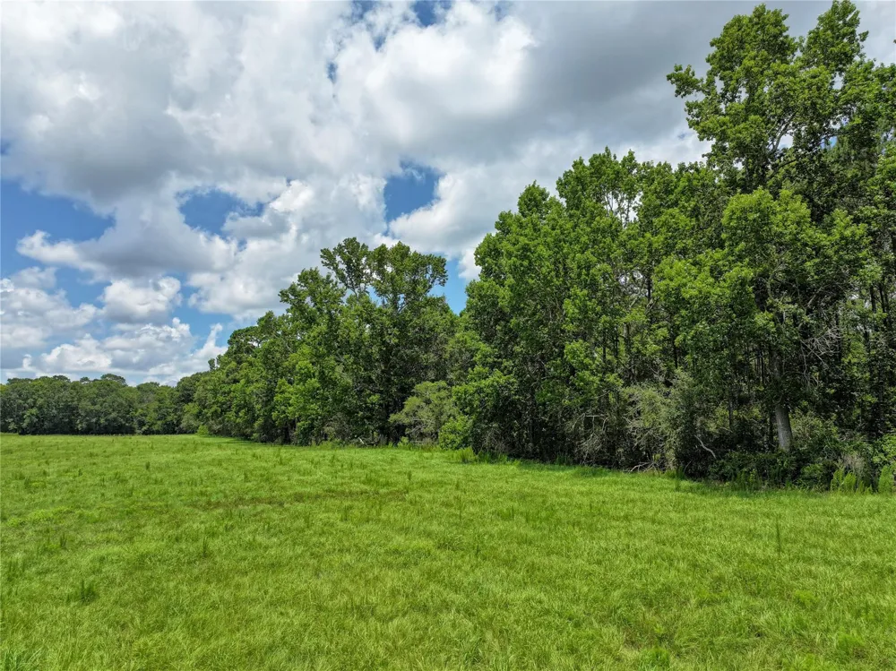 County Road 547 Kirbyville, TX 75956