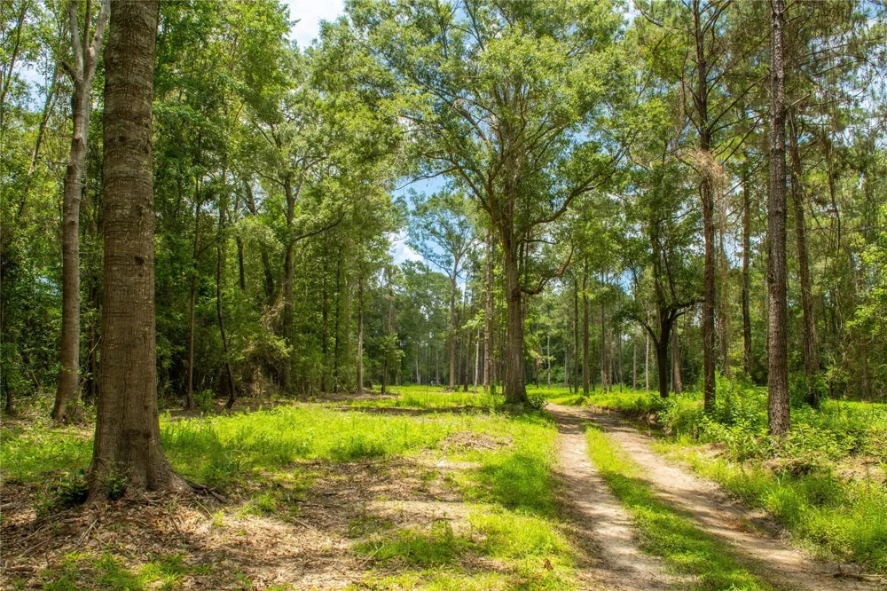 County Road 547 Kirbyville, TX 75956