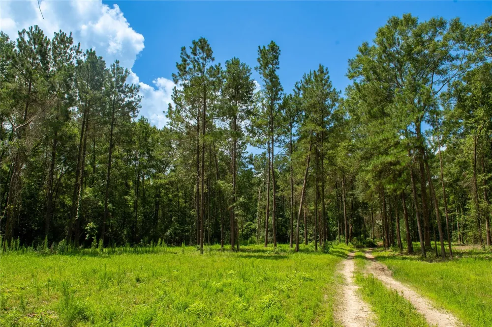 County Road 547 Kirbyville, TX 75956