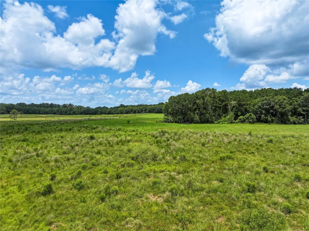 County Road 547 Kirbyville, TX 75956
