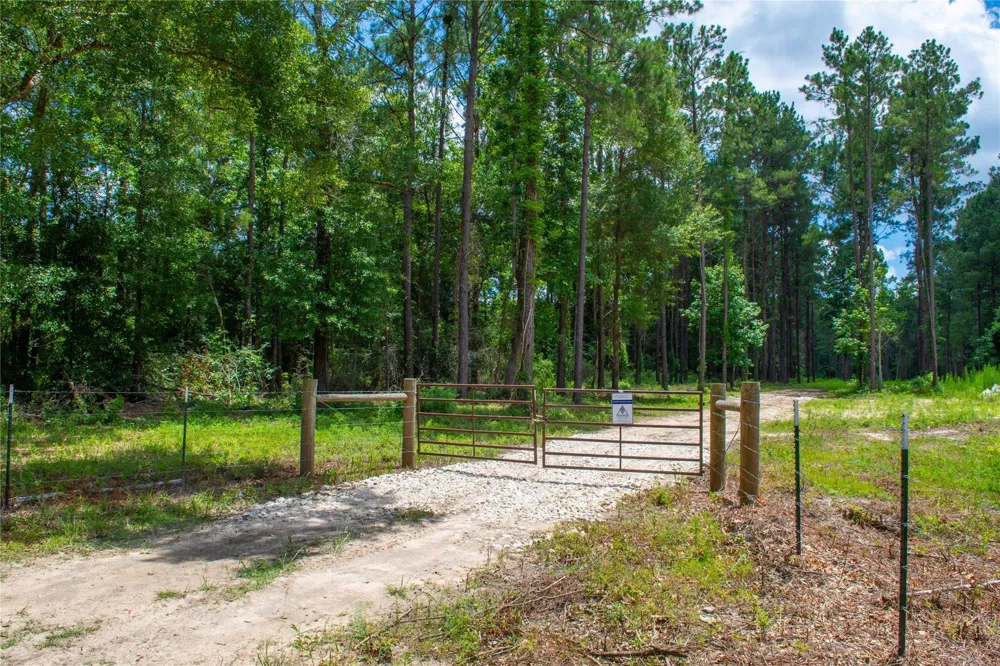 County Road 547 Kirbyville, TX 75956
