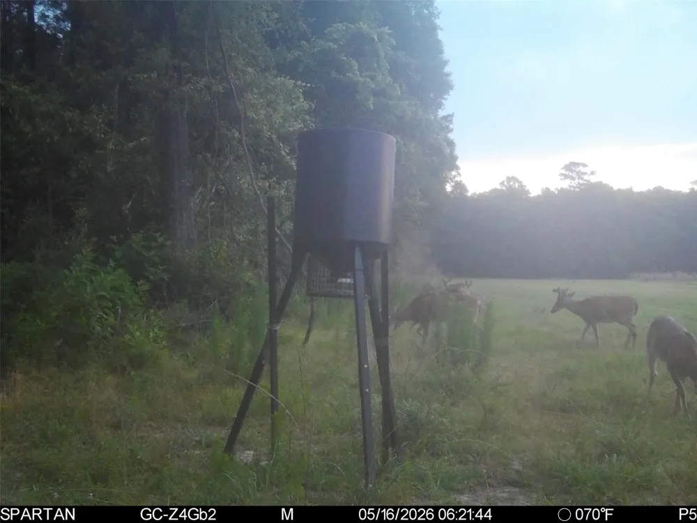 County Road 547 Kirbyville, TX 75956