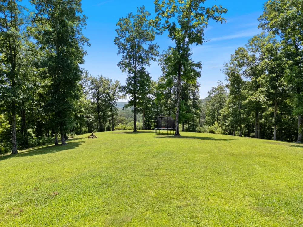 1370 Leatherwood Rd White Bluff, TN 37187