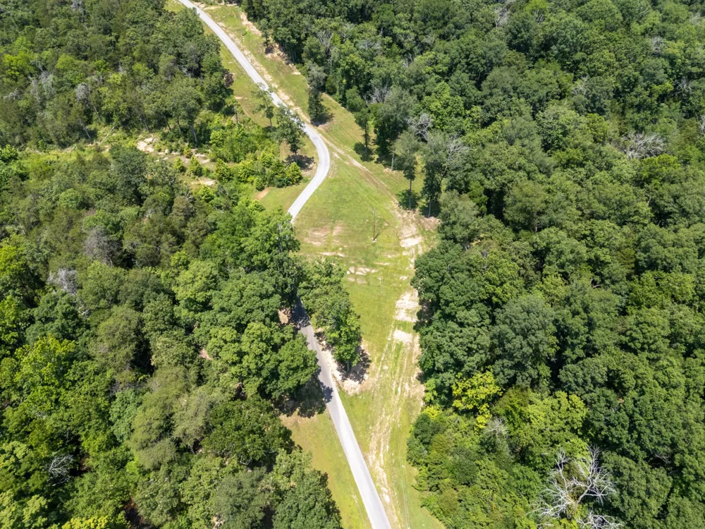 1370 Leatherwood Rd White Bluff, TN 37187