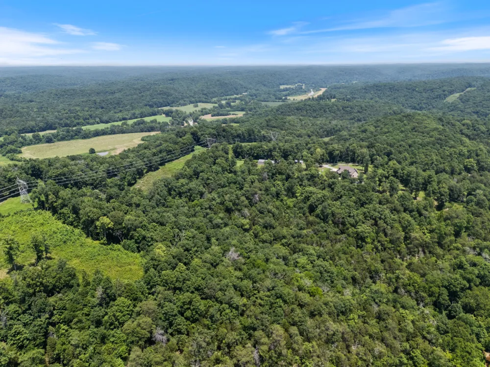 1370 Leatherwood Rd White Bluff, TN 37187