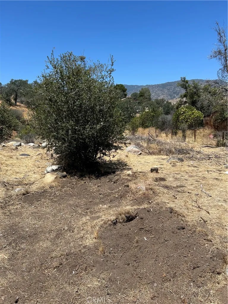 248 Bodfish Canyon Bodfish, CA 93205