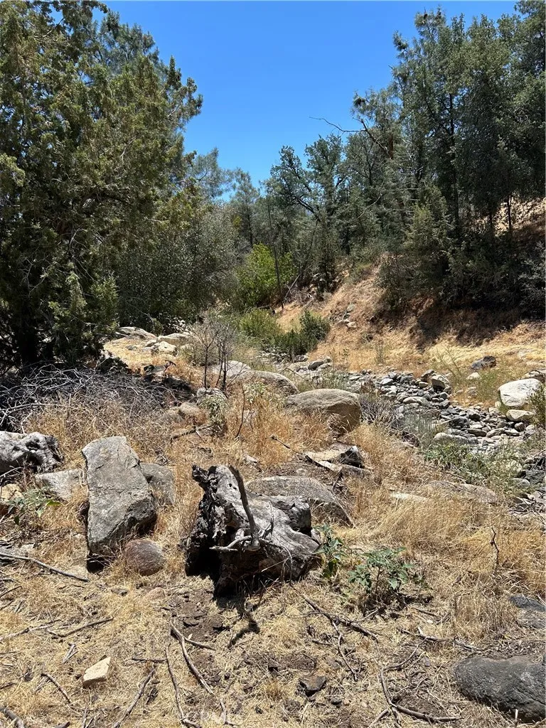 248 Bodfish Canyon Bodfish, CA 93205