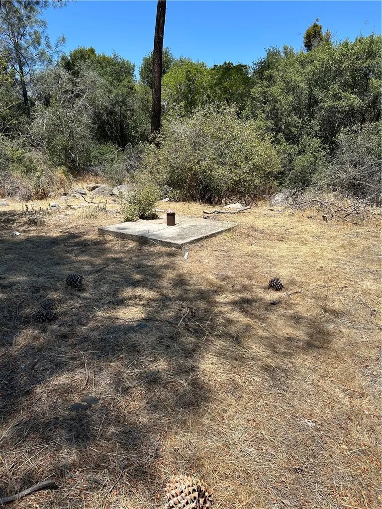248 Bodfish Canyon Bodfish, CA 93205