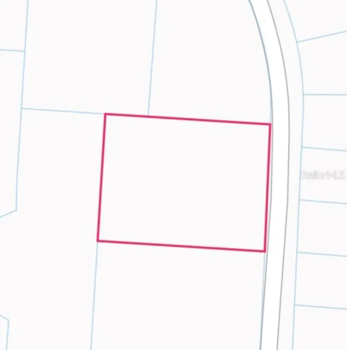34253 BERRYHILL DRIVE Webster, FL 33597