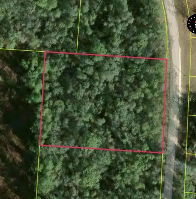34253 BERRYHILL DRIVE Webster, FL 33597