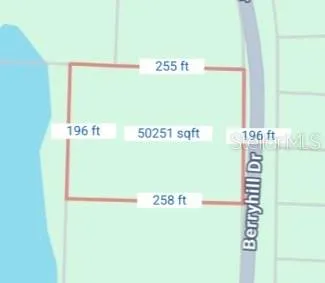 34253 BERRYHILL DRIVE Webster, FL 33597