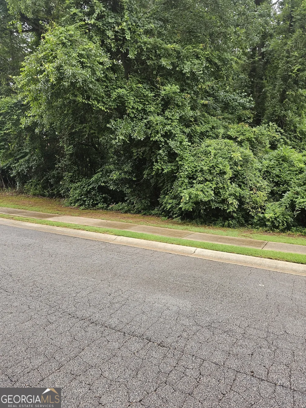 1440 Ethans WAY McDonough, GA 30252