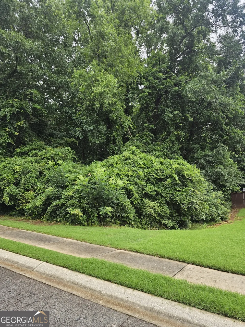 1440 Ethans WAY McDonough, GA 30252