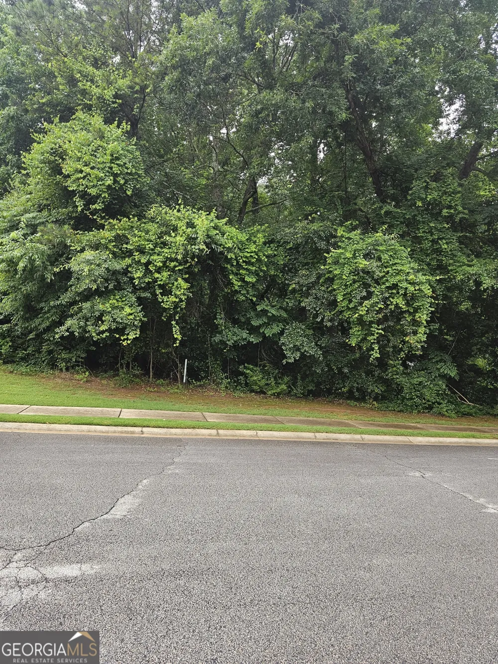 1440 Ethans WAY McDonough, GA 30252