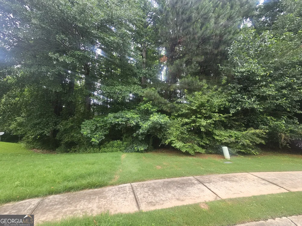 720 Donner CT McDonough, GA 30252