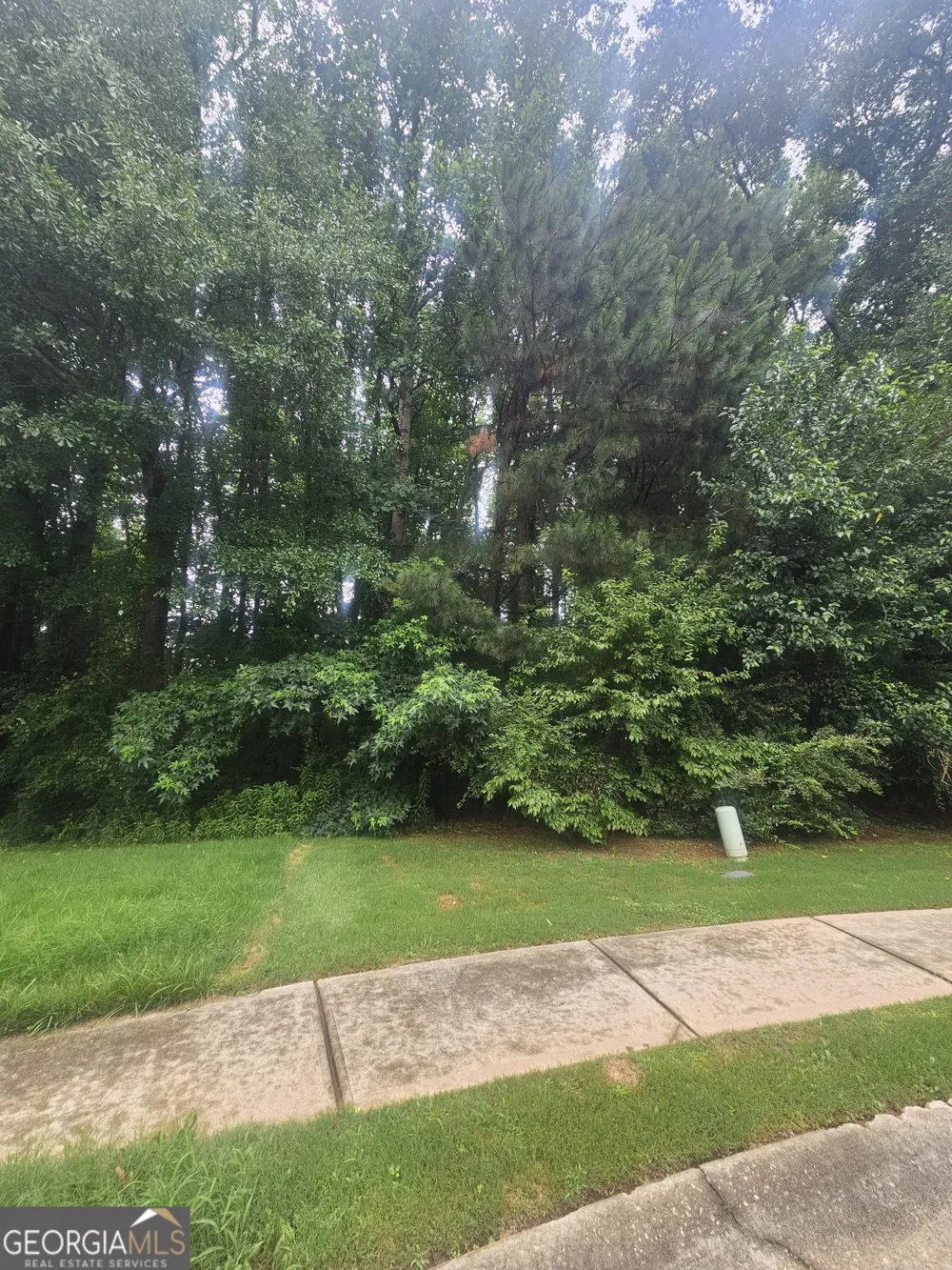 720 Donner CT McDonough, GA 30252