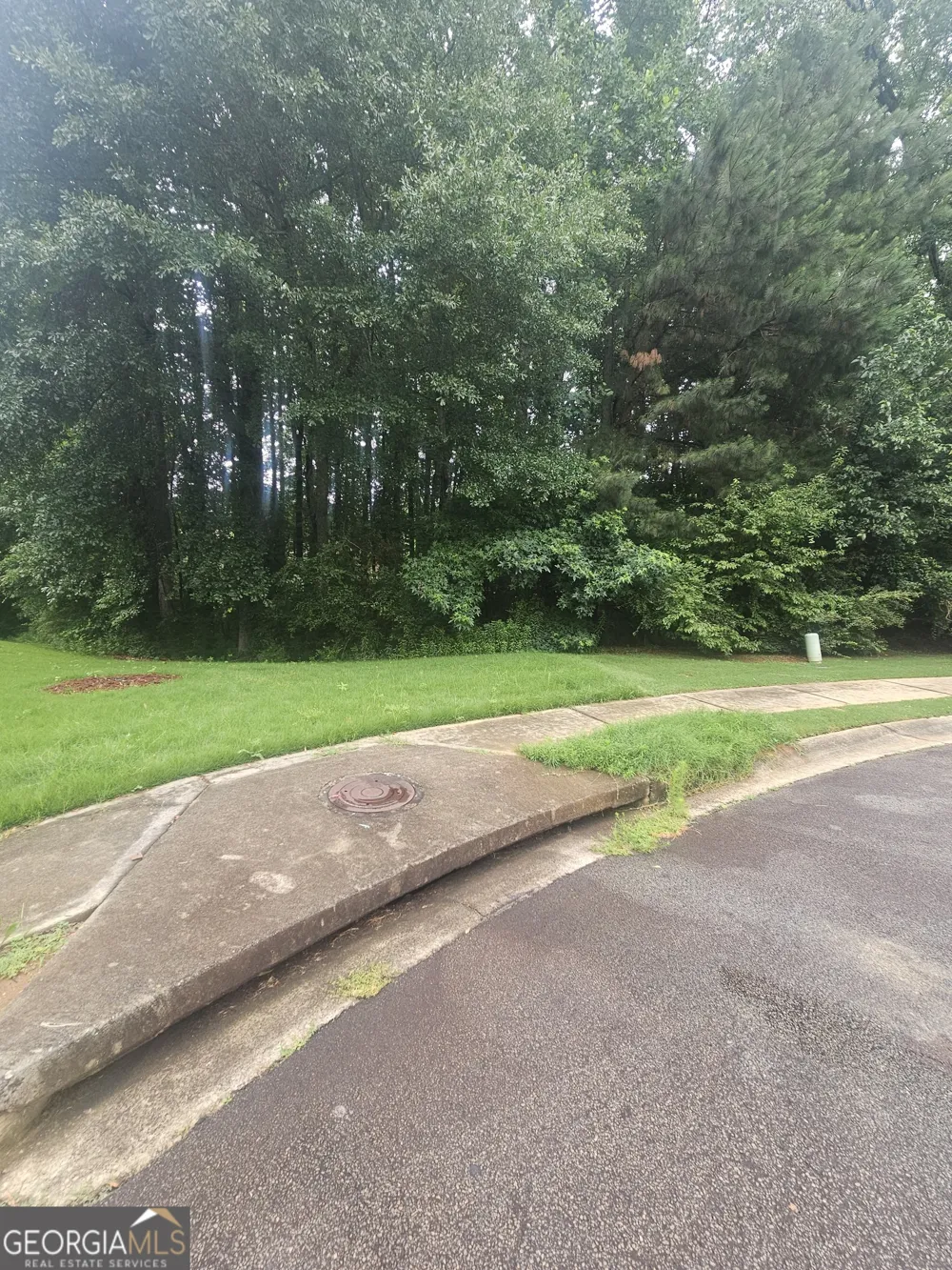 720 Donner CT McDonough, GA 30252