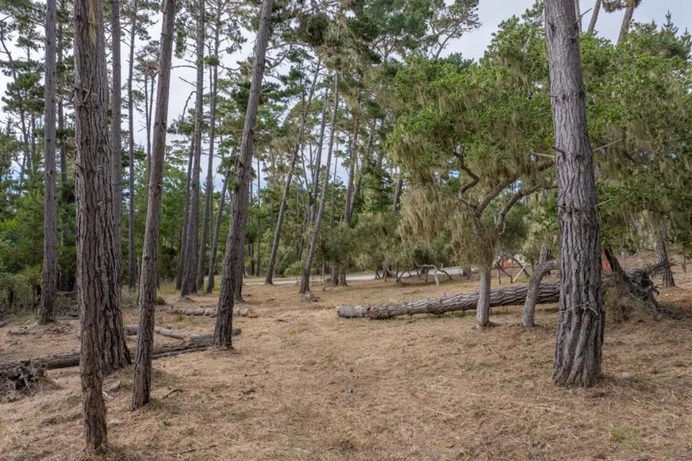 1070 Spyglass Woods Drive Pebble Beach, CA 93953