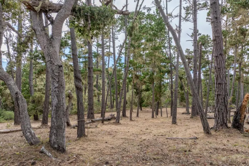 1070 Spyglass Woods Drive Pebble Beach, CA 93953